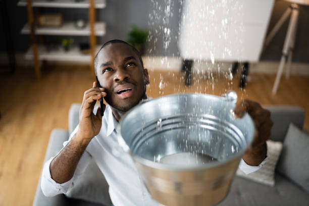 Best Emergency water extraction  in Grant City, MO