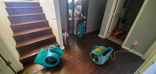 Best Carpet water damage restoration  in Grant City, MO