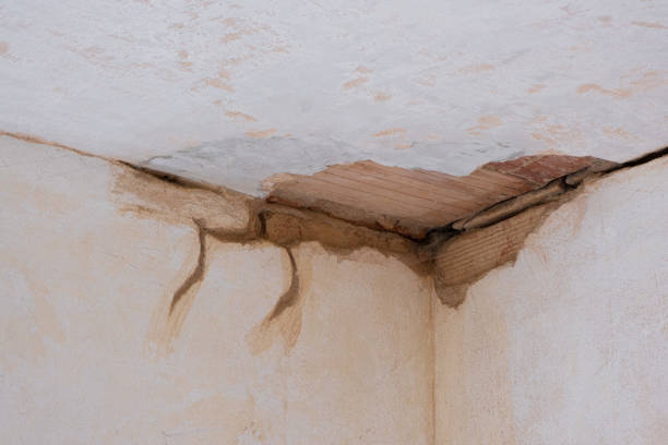 Best Sewage cleanup and water damage restoration  in Grant City, MO