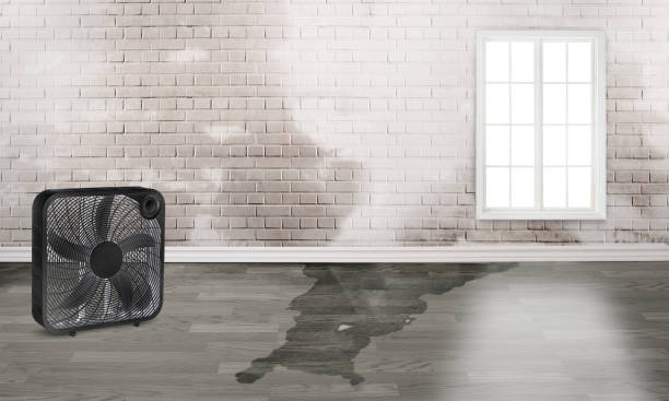 Water damage restoration insurance claims in MO
