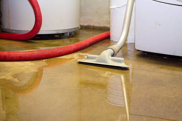 Best Commercial water damage restoration  in Grant City, MO